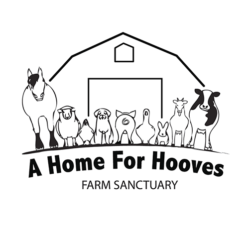 A Home For Hooves Farm Sanctuary supporting ethical apparel manufactured by Joyya | Kindred Apparel Canada 